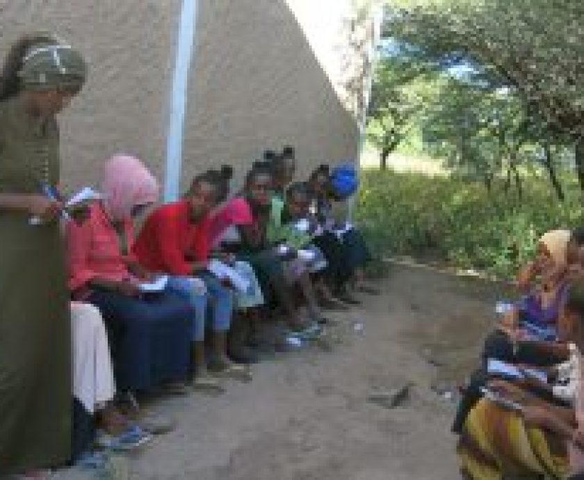 Preventing_early_marriage_teenage_pregnancy_and_school_dropout_through_socio-economic_empowerment_of_girls_-300×169